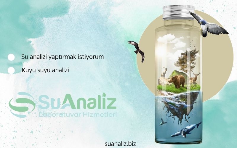 Su analizi yaptırmak istiyorum, Kuyu suyu analizi